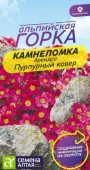 Камнеломка Пурпурный ковер Арендса/Сем Алт/цп 0,01 гр. многолетник Альпийская горка - КОЛОРЛОН ВТД Новосибирск