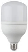 40W Led Эра T120-6500-E27 Лампа POWER - КОЛОРЛОН ВТД Новосибирск