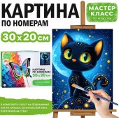 MKR3020-58 Набор для рисования "Картина по номерам 30х20 см. Чёрный кот" - КОЛОРЛОН ВТД Новосибирск