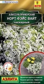 Алиссум Норт Фэйс вайт 10шт, ампельный (Аэлита) - КОЛОРЛОН ВТД Новосибирск
