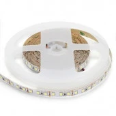 00-31  лента 12В, СТ, 9,6Вт/м, smd3528, 120д/м, IP20, 600Лм/м 8мм, 5м, х/б, 6500К. С - КОЛОРЛОН ВТД Новосибирск