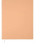 Дневник 1-11кл. deVENTE тв.обл. "Soft touch.Бежевый" 2021670 кож.зам.софт-тач,крем.бум. - КОЛОРЛОН ВТД Новосибирск
