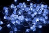 Гирлянда электрическая Космос l=10.25м 100LED холодный белый, на батарейках, пульт Код271901 - КОЛОРЛОН ВТД Новосибирск