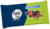 Emily Style Универсальные  салфетки ЯГОДНЫЙ МИКС (бывший морские минералы) 15 шт - КОЛОРЛОН ВТД Новосибирск