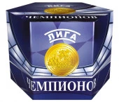 СС034037 Лига чемпионов 4/1 - КОЛОРЛОН ВТД Новосибирск