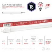 18W Led Эра ECO T8-865-G13-1200mm Лампа - КОЛОРЛОН ВТД Новосибирск