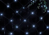 ERASS024-15  ЭРА Сеть 150 LED на солнечной батарее холодный свет 2м*1,35м - КОЛОРЛОН ВТД Новосибирск