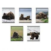 60580 ТЕТРАДЬ 96 Л, КЛ. ERICHKRAUSE МЕДВЕДИ, ГЛЯНЦ. ЛАМ. MIX-PACK /5/60/ - КОЛОРЛОН ВТД Новосибирск