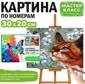 MKR3020-31 Набор для рисования "Картина по номерам 30х20 см. Увлечение" - КОЛОРЛОН ВТД Новосибирск