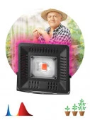 FITO Прожектор ЭРА 50W-LED BLUERED для растений - КОЛОРЛОН ВТД Новосибирск