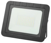 100W Led LPR-061-0-65K-100  ЭРА 6500К 290x230x36 Прожектор - КОЛОРЛОН ВТД Новосибирск