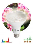 FITO Лампа ЭРА 15W-Ra90-E27 для растений* - КОЛОРЛОН ВТД Новосибирск