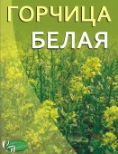 Горчица белая рядовая, коробка 200 гр (уп.24шт) СП - КОЛОРЛОН ВТД Новосибирск