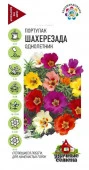 Портулак Шехерезада смесь  0.1гр Удачные семена (Гавриш) цв - КОЛОРЛОН ВТД Новосибирск