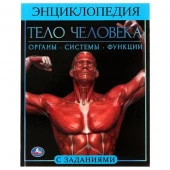 315822 Тело человека.  Энциклопедия А4. 197х255мм, 48 стр.мелов. бумага, тв. переплет, Умка в кор.15 - КОЛОРЛОН ВТД Новосибирск