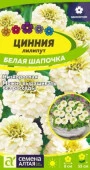 Цинния лилипут Белая Шапочка/Сем Алт/цп 0,2 гр. (2030 / 4701) - КОЛОРЛОН ВТД Новосибирск
