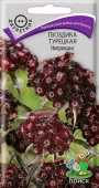 Гвоздика турецкая Нигриканс 0,3гр.( Поиск) цв. - КОЛОРЛОН ВТД Новосибирск