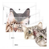 61155 КОНВЕРТ ПЛАСТ. НА КНОПКЕ, A4, ERICHKRAUSE HIDING CATS, 0,16 ММ, АССОРТИ /12/240/ - КОЛОРЛОН ВТД Новосибирск