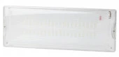 Аварийный светильник LED ЭРА DPA-301-1-65 постоянный 40LED 3ч IP65 - КОЛОРЛОН ВТД Новосибирск