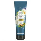 HERBAL ESSENCES Бальзам-ополаскиватель Марокканское аргановое масло 275мл - КОЛОРЛОН ВТД Новосибирск