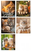 Тетрадь 48л. (клетка) МАЯК "Котята 2" Т548 K1/KEN мел.карт.,лак,асс.(акц) - КОЛОРЛОН ВТД Новосибирск