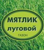 Мятлик луговой, коробка 0,5кг  (уп.14шт) - КОЛОРЛОН ВТД Новосибирск