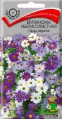 Брахикома Смесь окрасок Иберисолистная 0.03гр (Поиск) цв - КОЛОРЛОН ВТД Новосибирск
