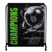 Сумка д/обуви КОКОС 36*44см "Champions" 250136 полиэстер,1отд. - КОЛОРЛОН ВТД Новосибирск