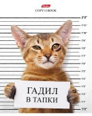 48Т5В1 Тетрадь 48л А5ф кл. на скобе 5 диз. скругл.углы   -Кот-обормот- - КОЛОРЛОН ВТД Новосибирск