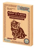 01731 Выжигание. Доски для выжигания 5 шт "Без рисунка. Для собственных идей" ДК - КОЛОРЛОН ВТД Новосибирск