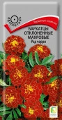 Бархатцы Ред черри откл махровые (Поиск) цв - КОЛОРЛОН ВТД Новосибирск
