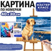 MKR4030-38 Картина по номерам "Золотистый ретривер" 40*30 см. Мастер класс - КОЛОРЛОН ВТД Новосибирск