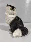 Кошка Мася - КОЛОРЛОН ВТД Новосибирск