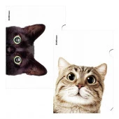 61139 УГОЛОК А4. ПЛАСТ. ERICHKRAUSE HIDING CATS, 0,16 ММ, АССОРТИ /12/300/ - КОЛОРЛОН ВТД Новосибирск