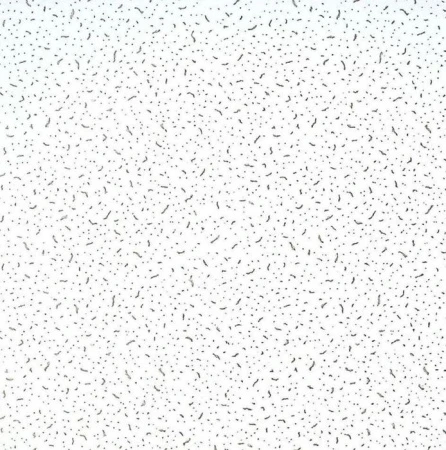 Armstromg BAIKAL Плита минеральная 600*600, 12мм - КОЛОРЛОН ВТД Новосибирск