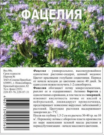 ***Фацелия рядовая,пак. 80 гр - КОЛОРЛОН ВТД Новосибирск