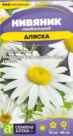 Нивяник Аляска/Сем Алт/цп 0,05 гр. многолетник - КОЛОРЛОН ВТД Новосибирск
