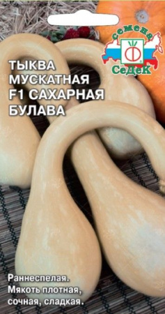 Тыква Сахарная Булава F1 1г (Седек) цв - КОЛОРЛОН ВТД Новосибирск