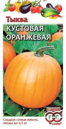 Тыква Кустовая оранжевая 10шт (Гавриш) цв - КОЛОРЛОН ВТД Новосибирск