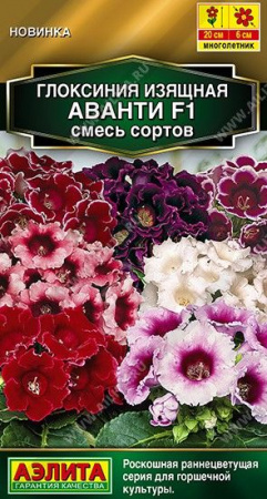 Глоксиния Аванти F1 Смесь сортов 5шт (Аэлита) - КОЛОРЛОН ВТД Новосибирск