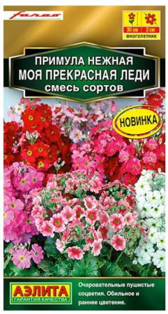 Примула Моя прекрасная леди 7шт, смесь сортов (Аэлита) - КОЛОРЛОН ВТД Новосибирск