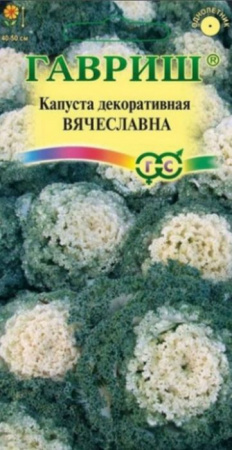 Капуста декорат Вячеславна 0.1гр (Гавриш) цв - КОЛОРЛОН ВТД Новосибирск