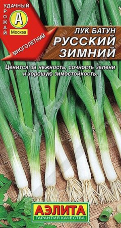 Лук батун Русский зимний 0.2г (Аэлита) чб - КОЛОРЛОН ВТД Новосибирск