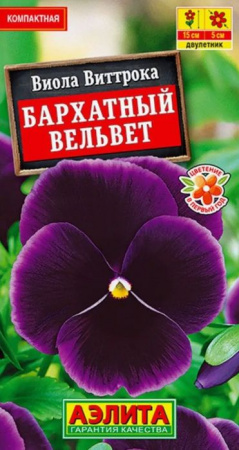 Виола Бархатный вельвет (Аэлита) цв - КОЛОРЛОН ВТД Новосибирск