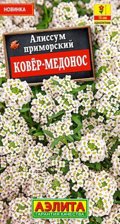 Алиссум Ковер-медонос 0. 05г (Аэлита) - КОЛОРЛОН ВТД Новосибирск