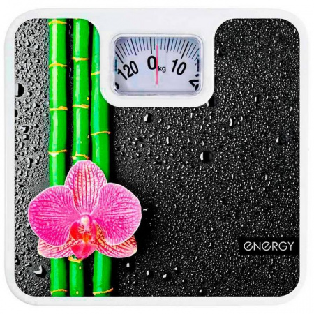 ***Весы напольные Energy ENM-409D - КОЛОРЛОН ВТД Новосибирск