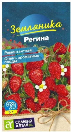 Ягода Земляника Регина ремонтантная/Сем Алт/цп 0,03 гр. - КОЛОРЛОН ВТД Новосибирск