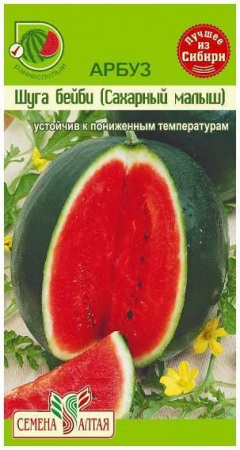 Астра Миледи Красная/Сем Алт/цп 0,2 гр. - КОЛОРЛОН ВТД Новосибирск