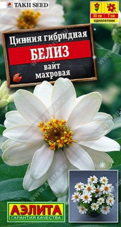 Цинния Белиз Вайт 5шт (Аэлита) - КОЛОРЛОН ВТД Новосибирск