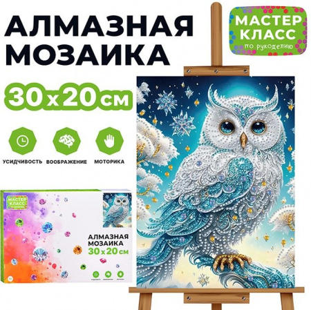 MKA3020-74 Мозаика алмазная "Красивая сова" 20*30см. - КОЛОРЛОН ВТД Новосибирск
